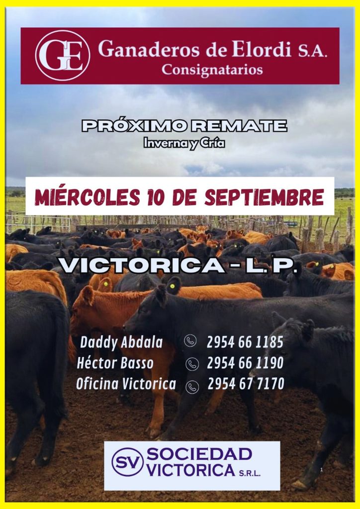 Remate feria Elordi Victorica 10 septiembre 2025 con Ganaderos de Elordi y Sociedad Victorica.