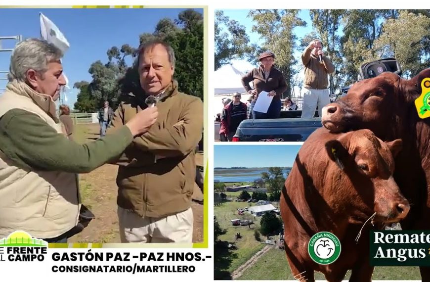 Entrevista a Gastón Paz de Paz Hnos. en la previa al 12° remate de cabaña Nirihuau con Gastón Paz