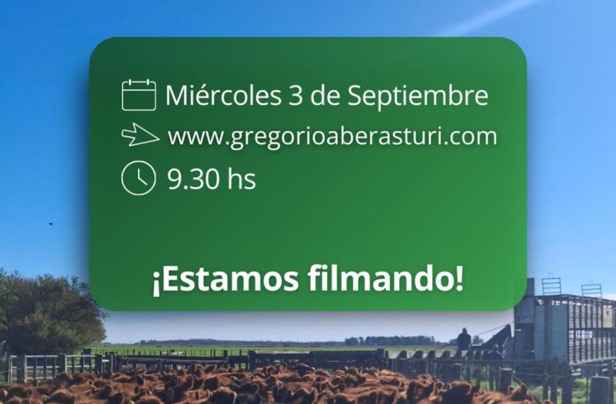 Remate feria Gregorio Aberasturi en Carhué el 3 septiembre 2025 con hacienda de invernada y cría presencial y online.