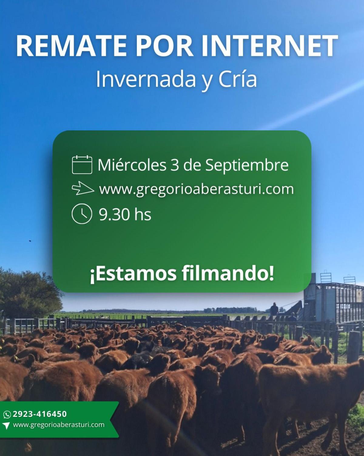 Remate feria Gregorio Aberasturi en Carhué el 3 septiembre 2025 con hacienda de invernada y cría presencial y online.