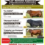 Grupo Quemú | Miguel Cané | Próximo Remate Feria el jueves 18 de septiembre de 2025