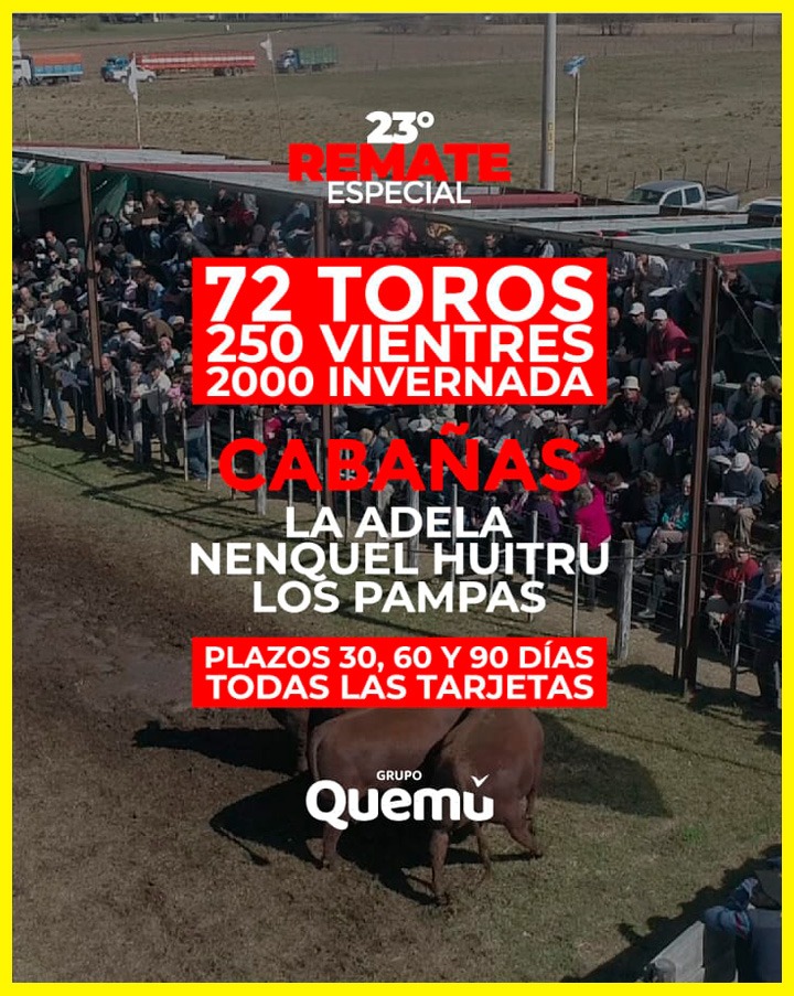Remate feria Quemú en Miguel Cané el 18 septiembre 2025 con 72 toros, 250 vientres y 2000 invernada.