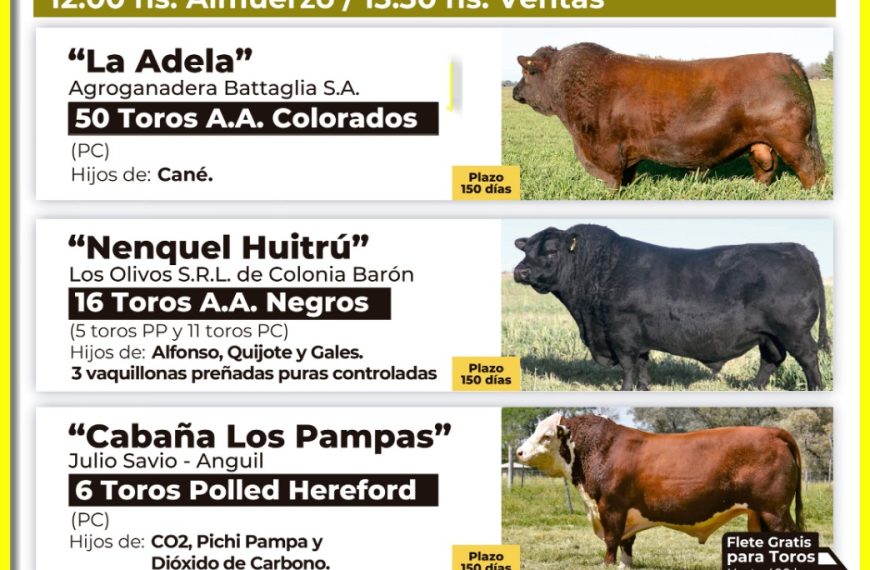 Grupo Quemú | Miguel Cané | Próximo Remate Feria el jueves 18 de septiembre de 2025