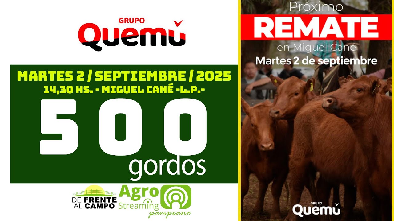 Grupo Quemú | Miguel Cané | Próximo Remate Feria el martes 2 de septiembre de 2025