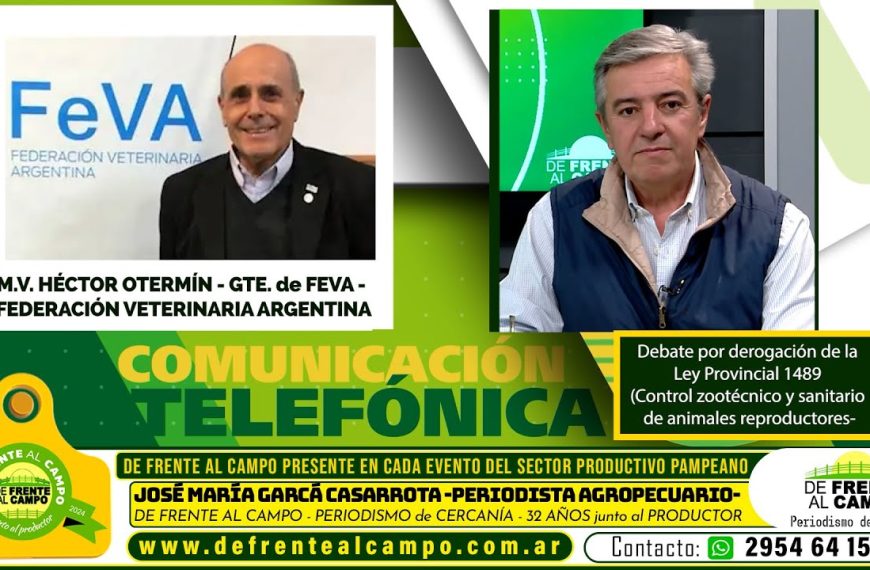 Entrevista: Héctor Otermin sobre la derogación de la Ley 1489 en La Pampa