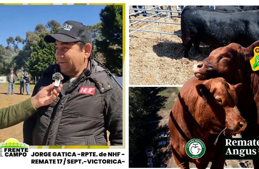 Entrevista a Jorge Gatica: Remate en Victorica con Néstor Hugo Fuentes S.A.