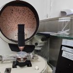 La Pampa: decomisan más de 40 kg de carne de jabalí con triquinosis