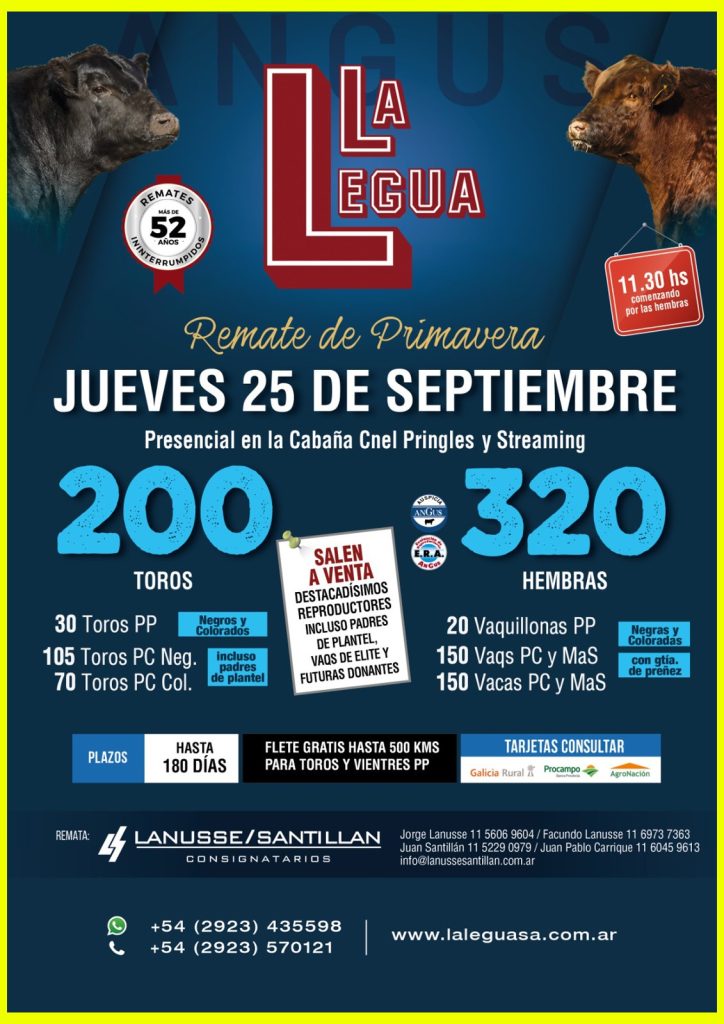 Remate feria La Legua Pringles 25 septiembre 2025 con 200 toros y 320 hembras
