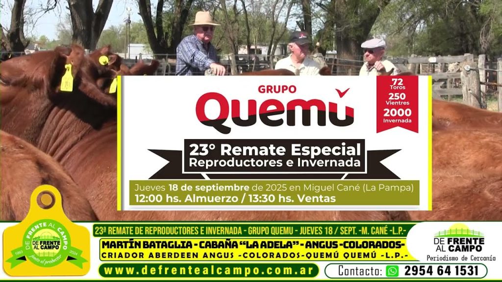 Martín Bataglia en entrevista previa al 23º Remate del Grupo Quemú.