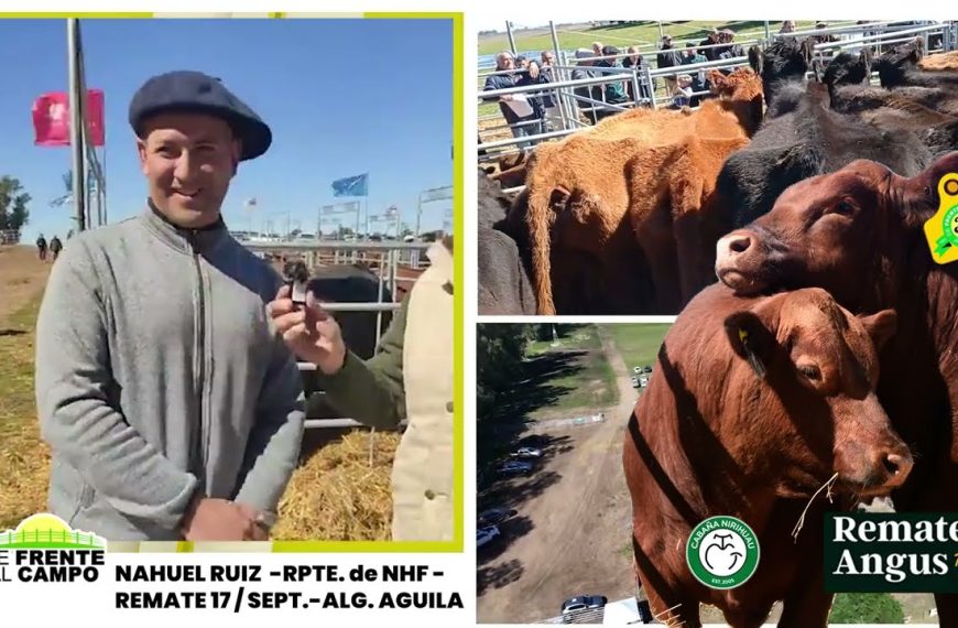Entrevista: Nahuel Ruiz anticipó el remate en Victorica con más de mil animales