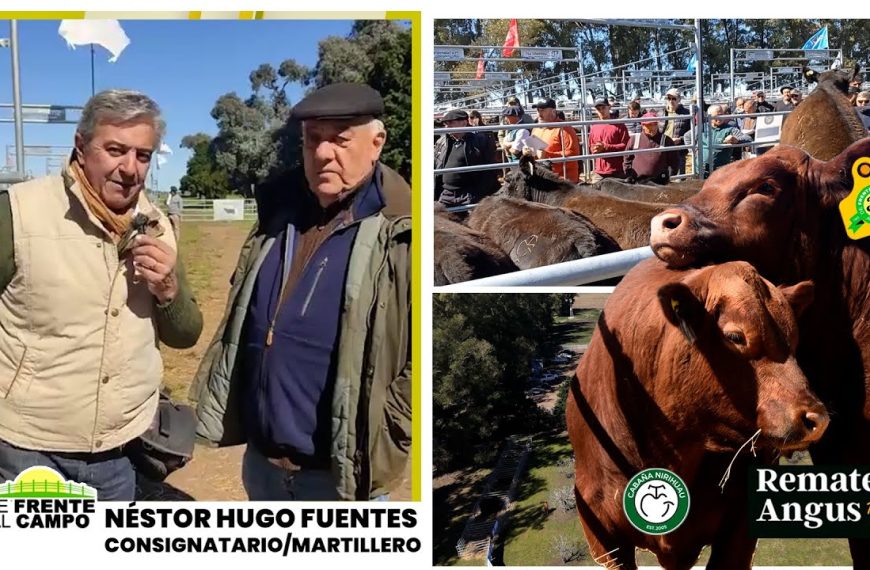 Entrevista: Remate de cabaña Nirihuau con Néstor Hugo Fuentes S.A.
