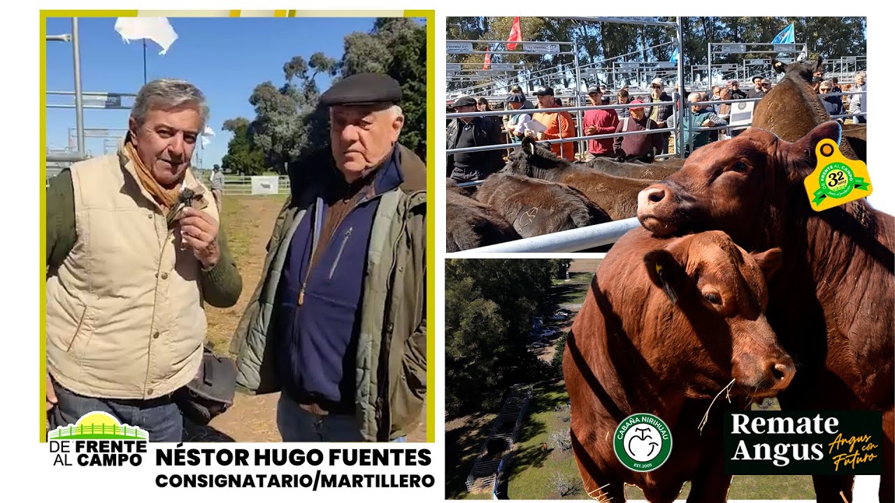 Entrevista: Remate de cabaña Nirihuau con Néstor Hugo Fuentes S.A.