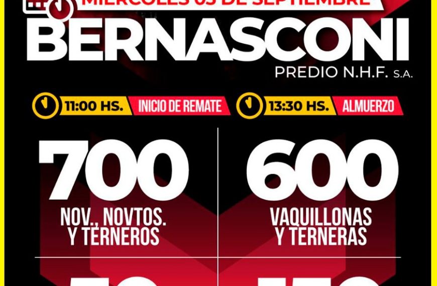 Remate feria Néstor Hugo Fuentes en Bernasconi 03 septiembre 2025 con 1500 vacunos