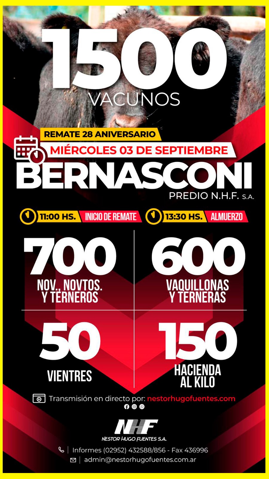 Remate feria Néstor Hugo Fuentes en Bernasconi 03 septiembre 2025 con 1500 vacunos