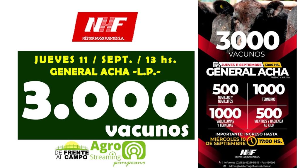 Remate feria Néstor Hugo Fuentes con 3.000 vacunos en General Acha La Pampa el 11 de septiembre 2025