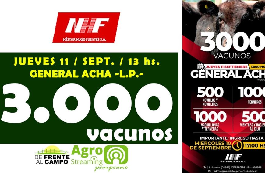Remate feria Néstor Hugo Fuentes con 3.000 vacunos en General Acha La Pampa el 11 de septiembre 2025