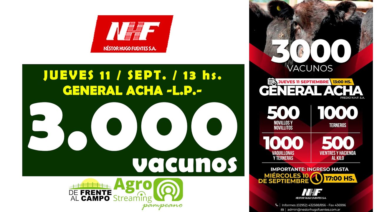 Remate feria Néstor Hugo Fuentes con 3.000 vacunos en General Acha La Pampa el 11 de septiembre 2025