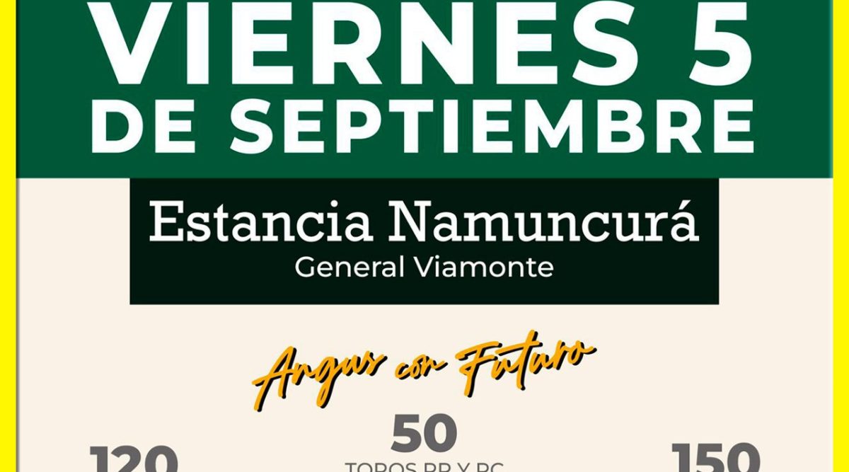 Remate feria Néstor Hugo Fuentes en General Viamonte el 5 septiembre 2025 con toros, vaquillonas y vacas Angus de Cabaña Nirihuau.