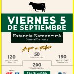 Néstor Hugo Fuentes S.A. | General Viamonte | Próximo Remate Feria el viernes 5 de septiembre de 2025