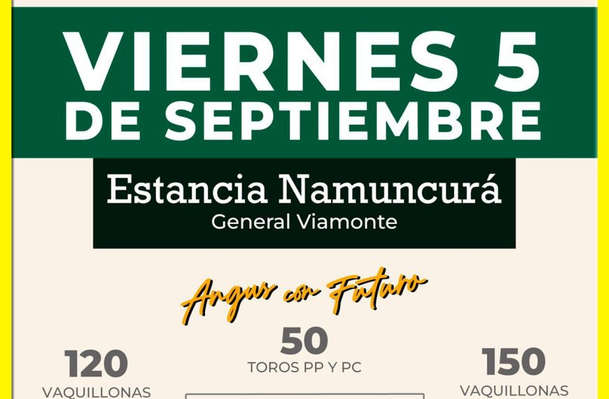 Remate feria Néstor Hugo Fuentes en General Viamonte el 5 septiembre 2025 con toros, vaquillonas y vacas Angus de Cabaña Nirihuau.