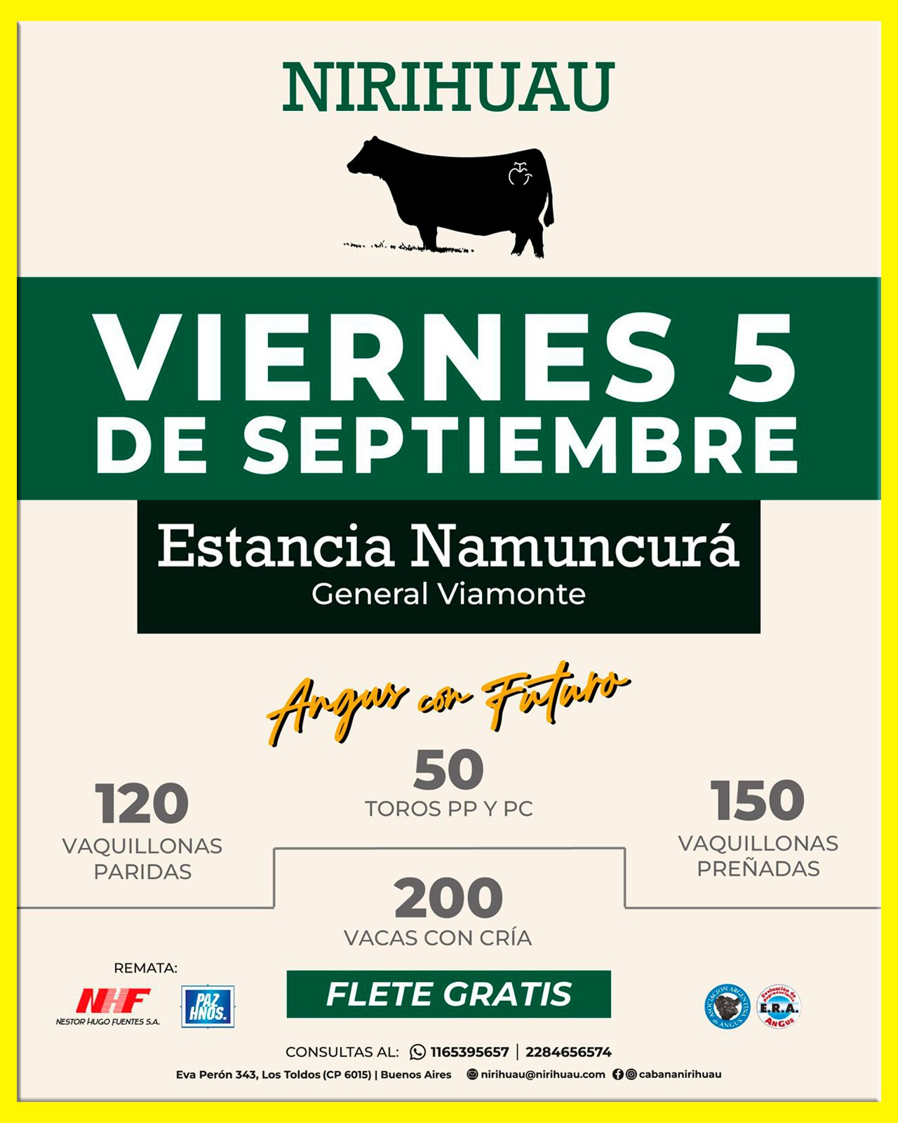 Remate feria Néstor Hugo Fuentes en General Viamonte el 5 septiembre 2025 con toros, vaquillonas y vacas Angus de Cabaña Nirihuau.