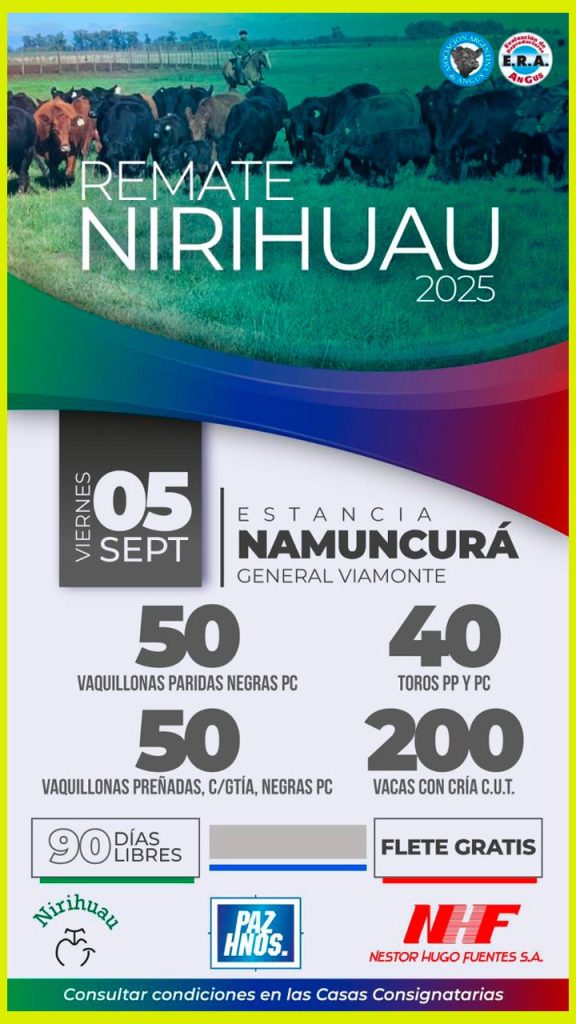 Remate feria Néstor Hugo Fuentes en General Viamonte el 5 septiembre 2025 con toros, vaquillonas y vacas Angus de Cabaña Nirihuau.