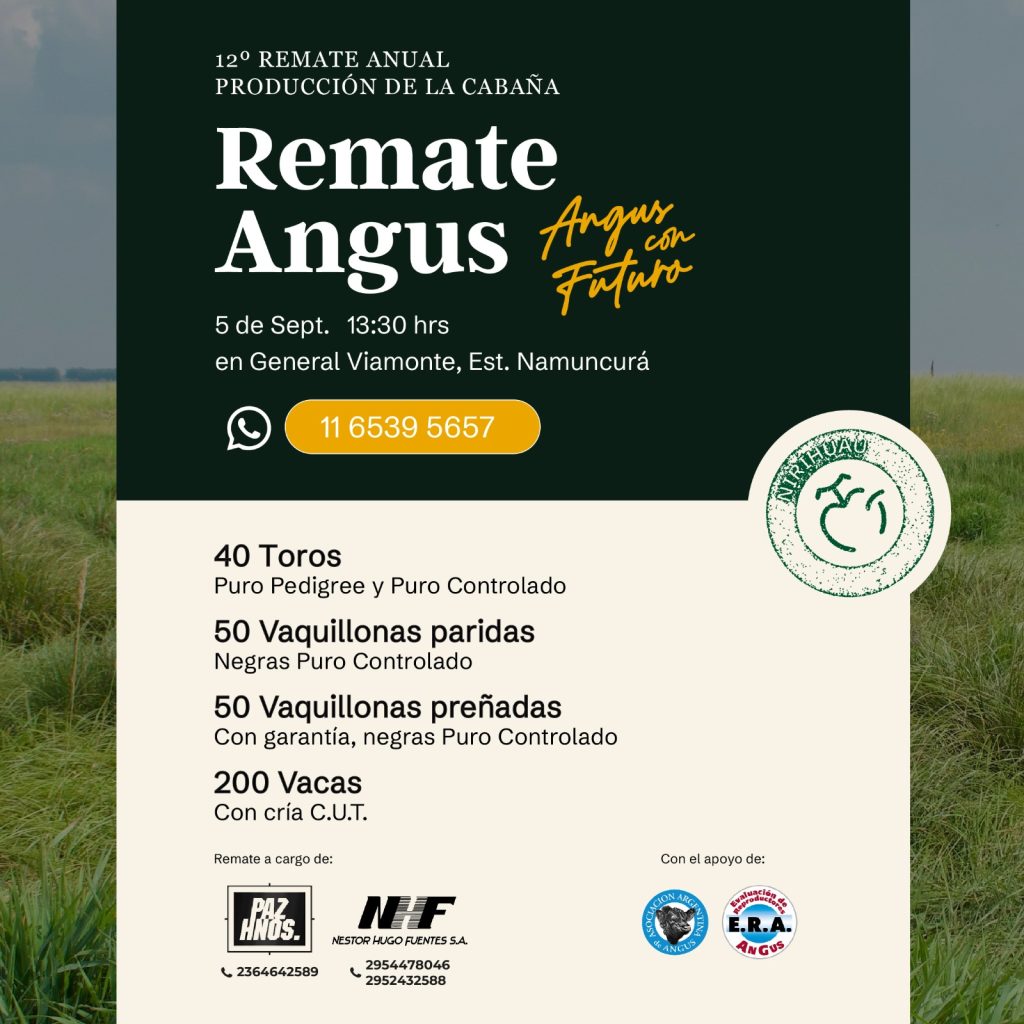 Remate feria Néstor Hugo Fuentes en General Viamonte el 5 septiembre 2025 con toros, vaquillonas y vacas Angus de Cabaña Nirihuau.