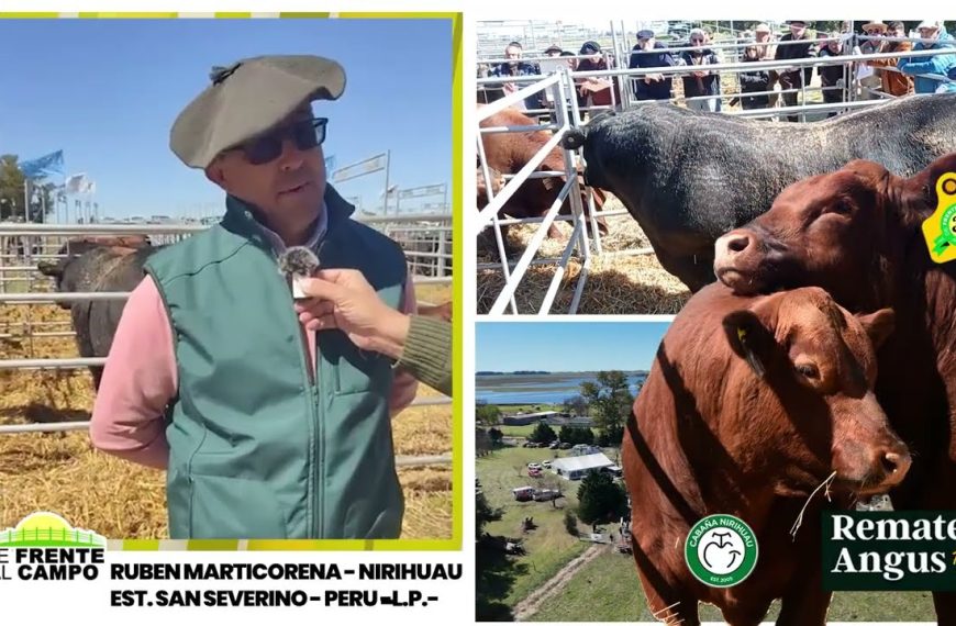 Entrevista: Rubén Marticorena – Est. San Severino, previo al 12° remate de Cabaña Nirihuau