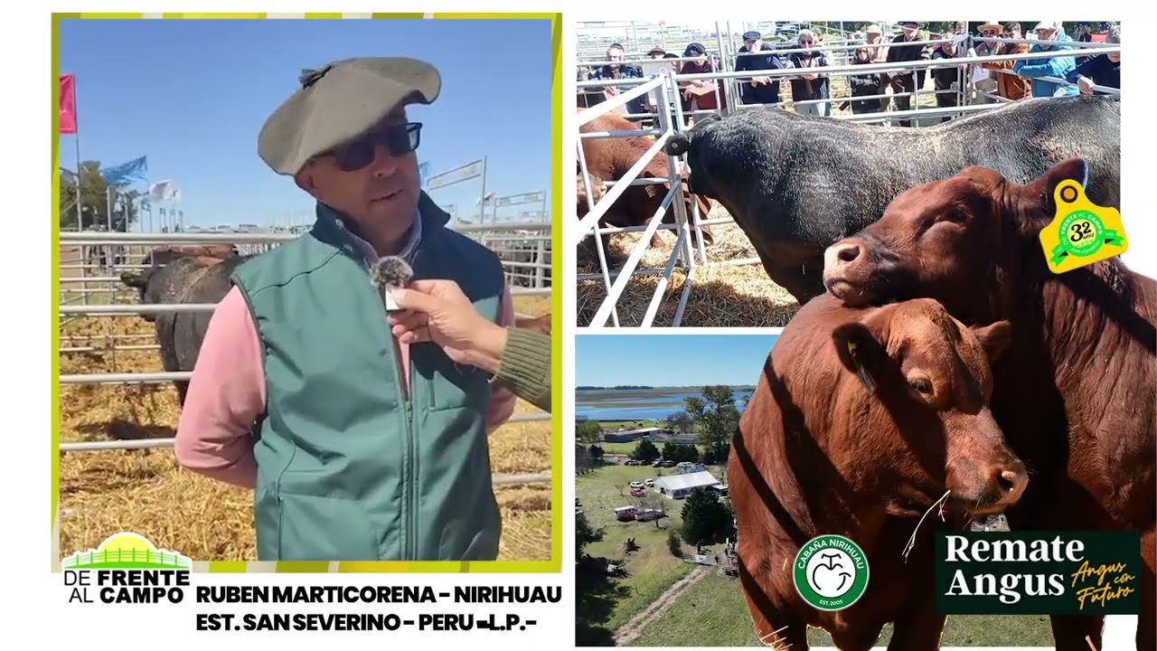 Entrevista: Rubén Marticorena – Est. San Severino, previo al 12° remate de Cabaña Nirihuau