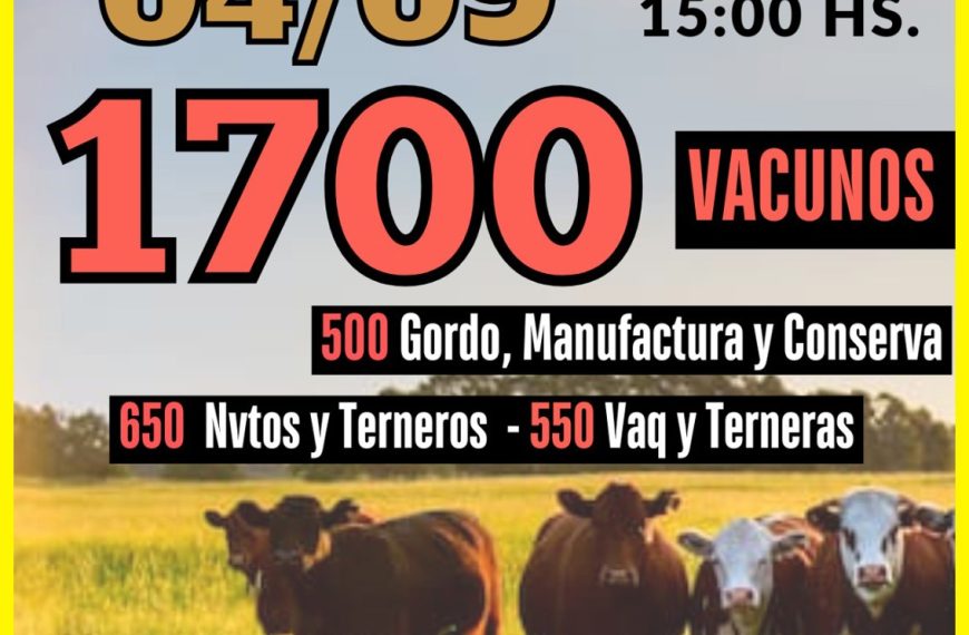 Remate feria Sociedad Cooperativa Agrícola Ganadera en General San Martín con 1700 vacunos el 4 septiembre 2025