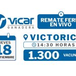 Vicar Ganadera S.A. | Victorica | Próximo Remate Feria el jueves 18 de septiembre de 2025
