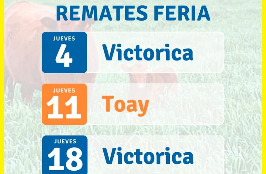 Remate feria Vicar Ganadera S.A. mensual septiembre