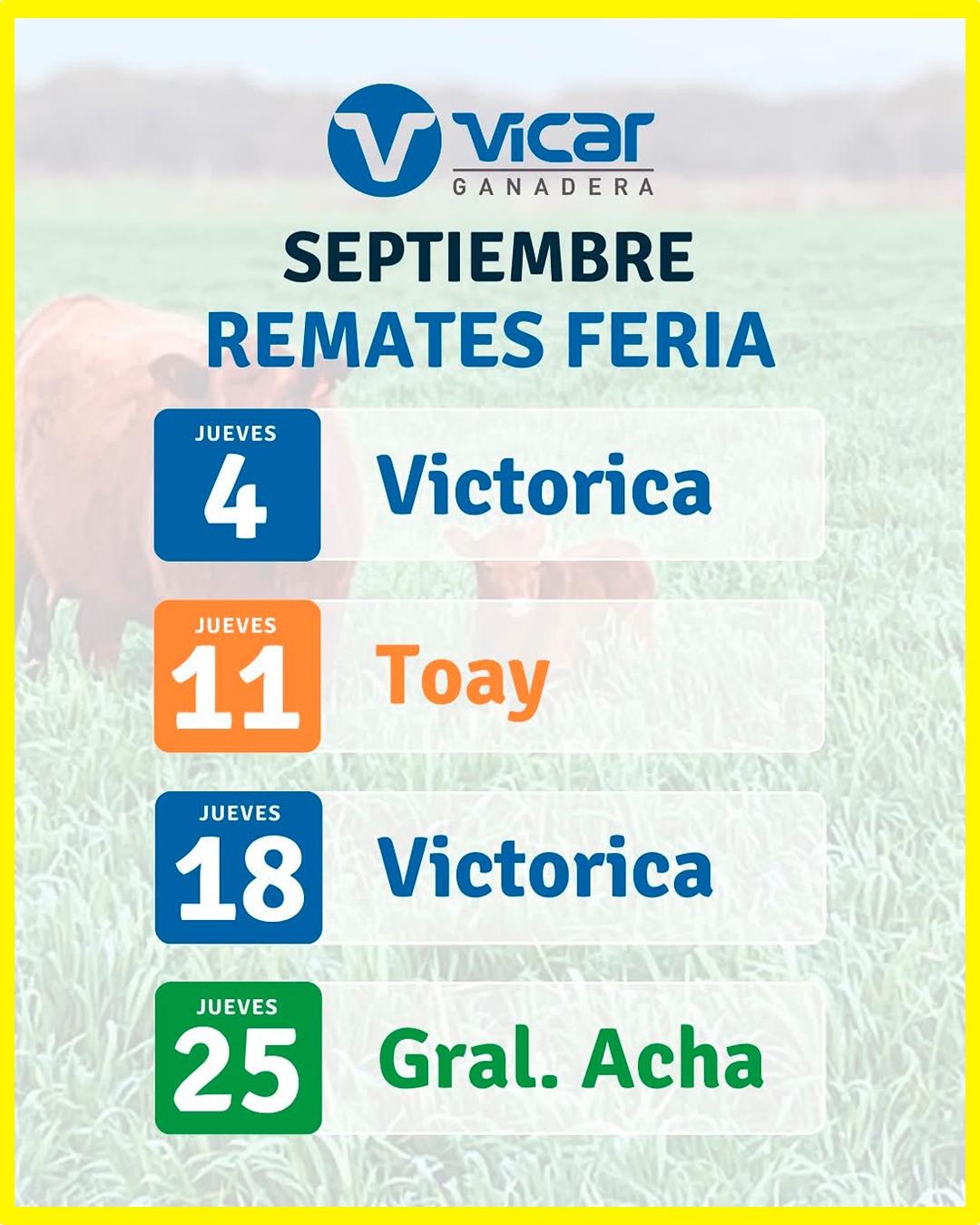 Remate feria Vicar Ganadera S.A. mensual septiembre