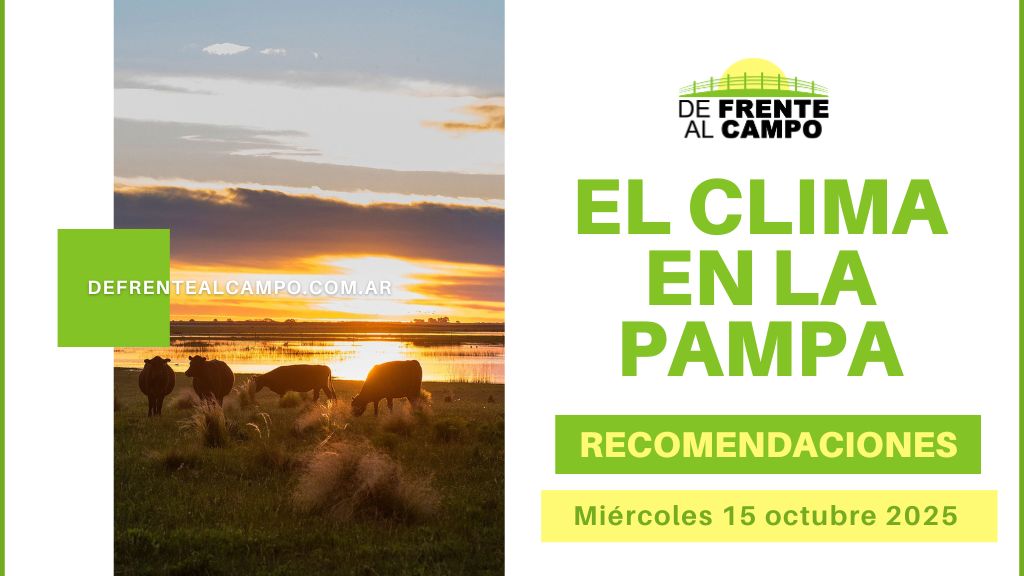Calor y viento en La Pampa: hasta 32 °C y alerta amarilla por ráfagas fuertes (Miércoles 15 de octubre 2025)