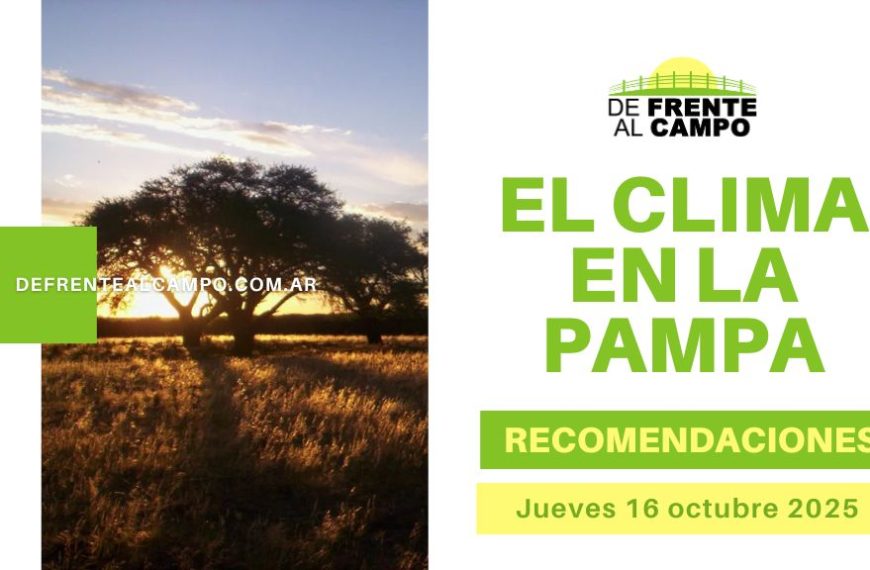 Pronóstico del tiempo La Pampa hoy: atardecer en pastizal con árbol solitario y rótulo “El clima en La Pampa”, fecha 16/10/2025.