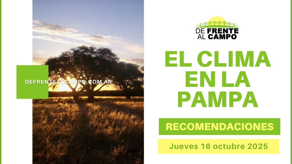 Cielo despejado y vientos moderados: así será el Pronóstico del tiempo La Pampa hoy, con máximas de 28 °C (Jueves 16/10/2025)