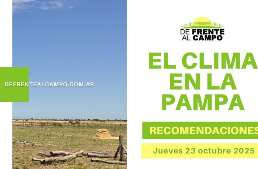 Pronóstico del tiempo La Pampa hoy: humedad elevada, alerta por tormentas eléctricas y ráfagas de más de 50 km/h (28 °C / 14 °C) (Jueves 23 de octubre 2025).