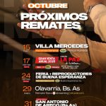 Alfredo S. Mondino | Olavarría | Próximo Remate Feria el miércoles 29 de octubre de 2025
