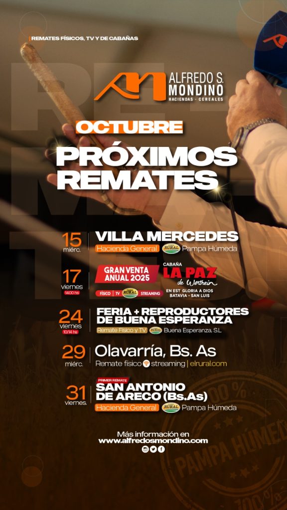 Remate feria Alfredo S. Mondino en Olavarría Buenos Aires el 29 de octubre de 2025
