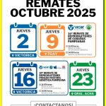 Vicar Ganadera S.A. | General Acha | Próximo Remate Feria el jueves 23 de octubre de 2025
