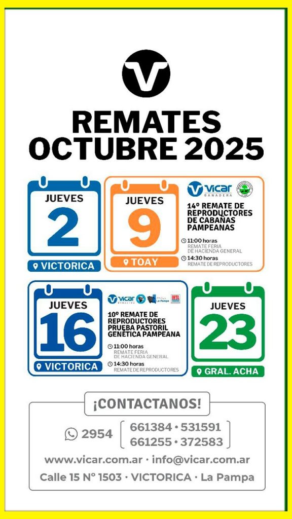 Remate feria Vicar Ganadera en General Acha el 23 de octubre de 2025, transmisión online y presencial