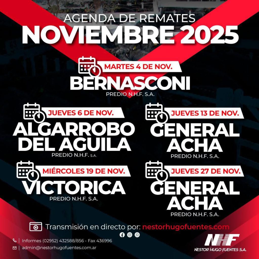 Agenda noviembre 2025 - Remate feria Néstor Hugo Fuentes