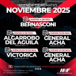 Néstor Hugo Fuentes S.A. | Bernasconi | Próximo Remate Feria el martes 4 de noviembre de 2025