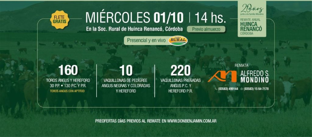 Remate feria Alfredo S. Mondino en Huinca Renancó con toros y vaquillonas Angus y Hereford el 1 de octubre de 2025.