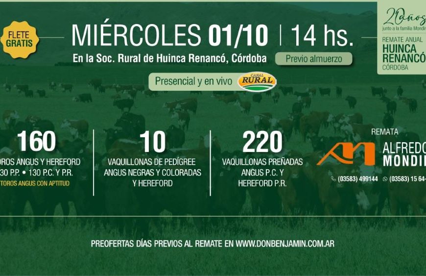 Remate feria Alfredo S. Mondino en Huinca Renancó con toros y vaquillonas Angus y Hereford el 1 de octubre de 2025.