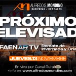 Alfredo S. Mondino | Pampa Húmeda | Próximo Remate Feria el jueves 13 de noviembre de 2025