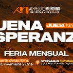 Alfredo S. Mondino | Buena Esperanza | Próximo Remate Feria el jueves 14 de noviembre de 2025