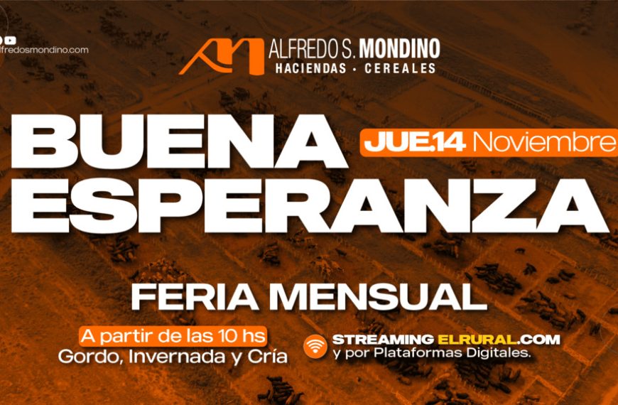Remate feria Alfredo S. Mondino en Buena Esperanza el 14 de noviembre de 2025