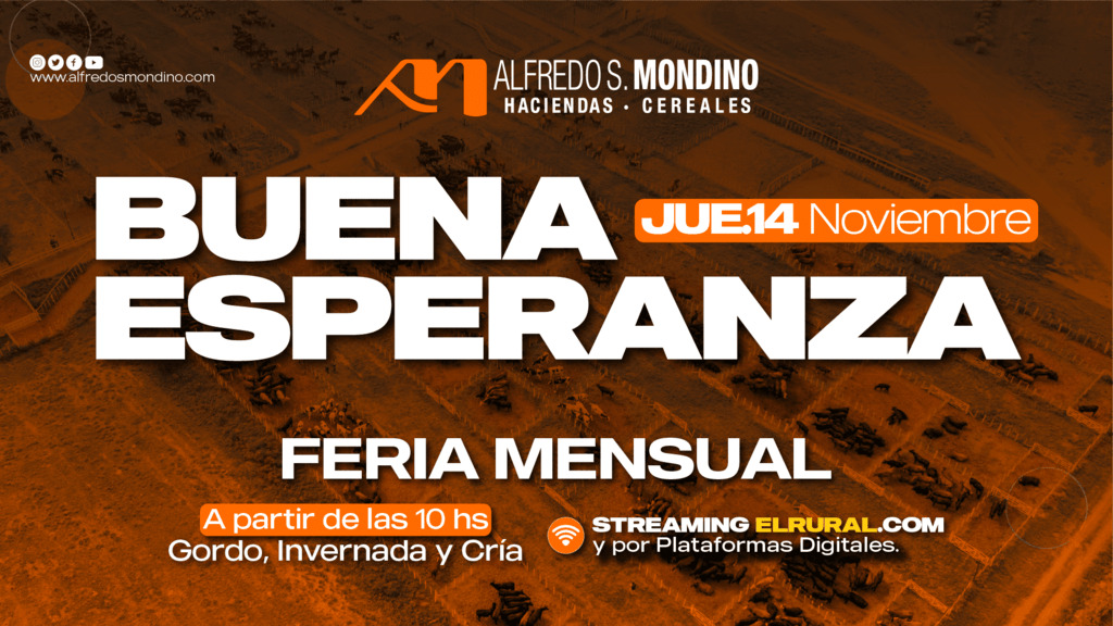 Remate feria Alfredo S. Mondino en Buena Esperanza el 14 de noviembre de 2025