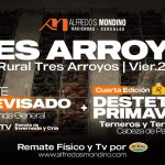 Alfredo S. Mondino | Tres Arroyos | Próximo Remate Feria el viernes 21 de noviembre de 2025